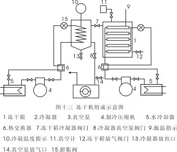 凍干機組成示意圖